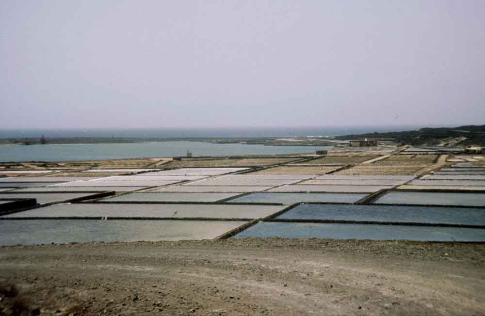 23 - Lanzarote, salinas